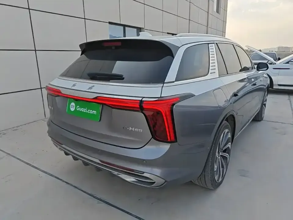 Hongqi Hongqi E-HS9