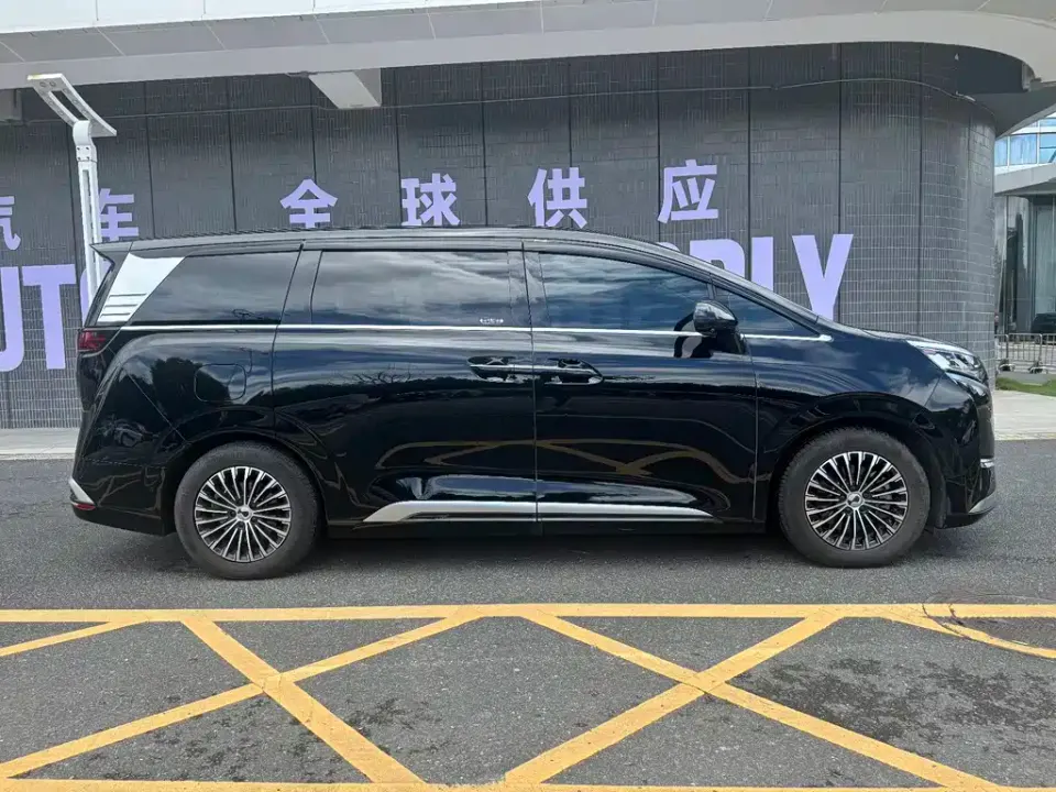 Denza Denza D9