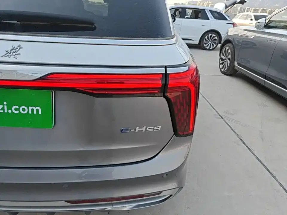 Hongqi Hongqi E-HS9