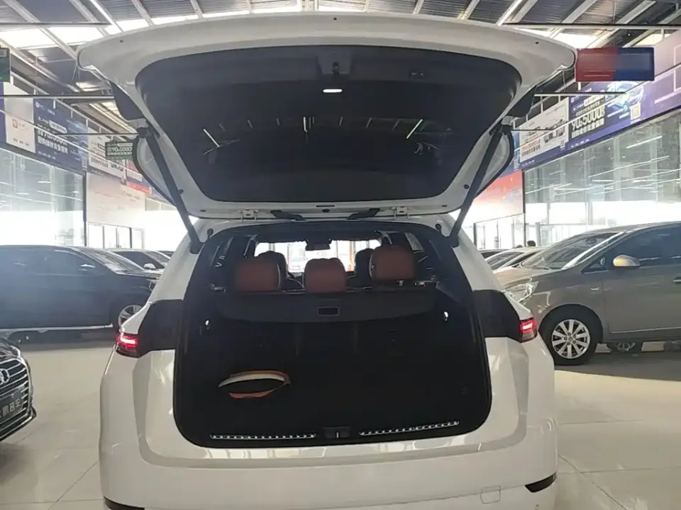 Li Li L7