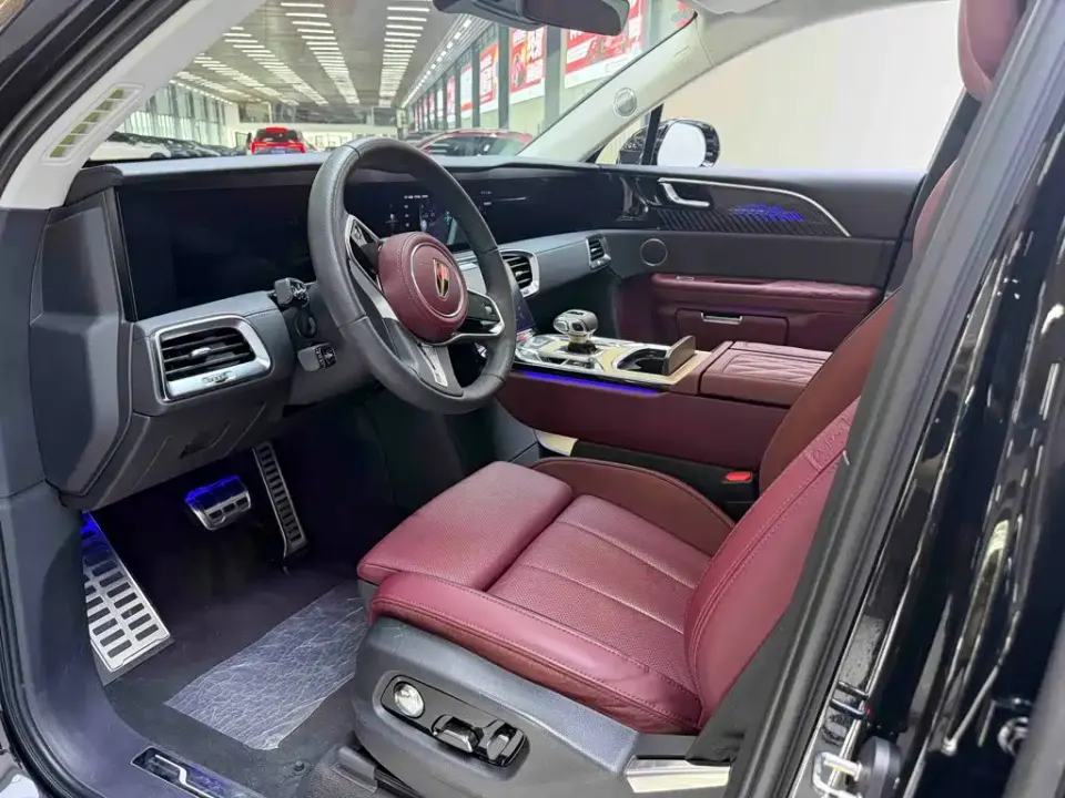 Hongqi Hongqi E-HS9