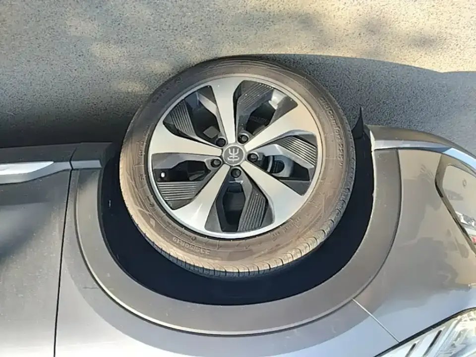 BYD PLUS New Energy