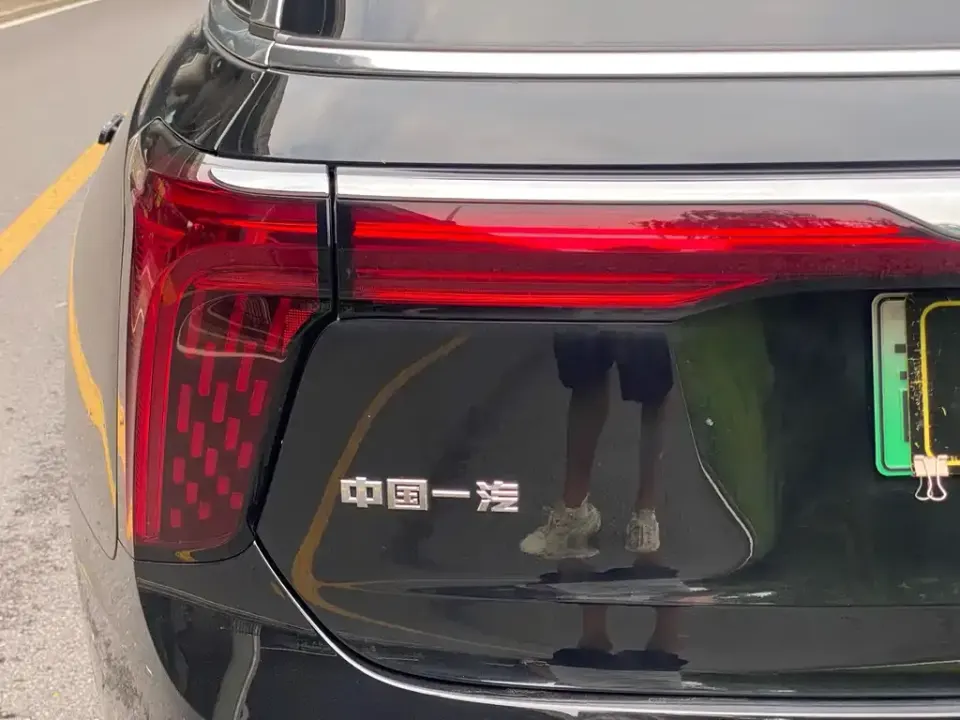 Hongqi Hongqi E-HS9