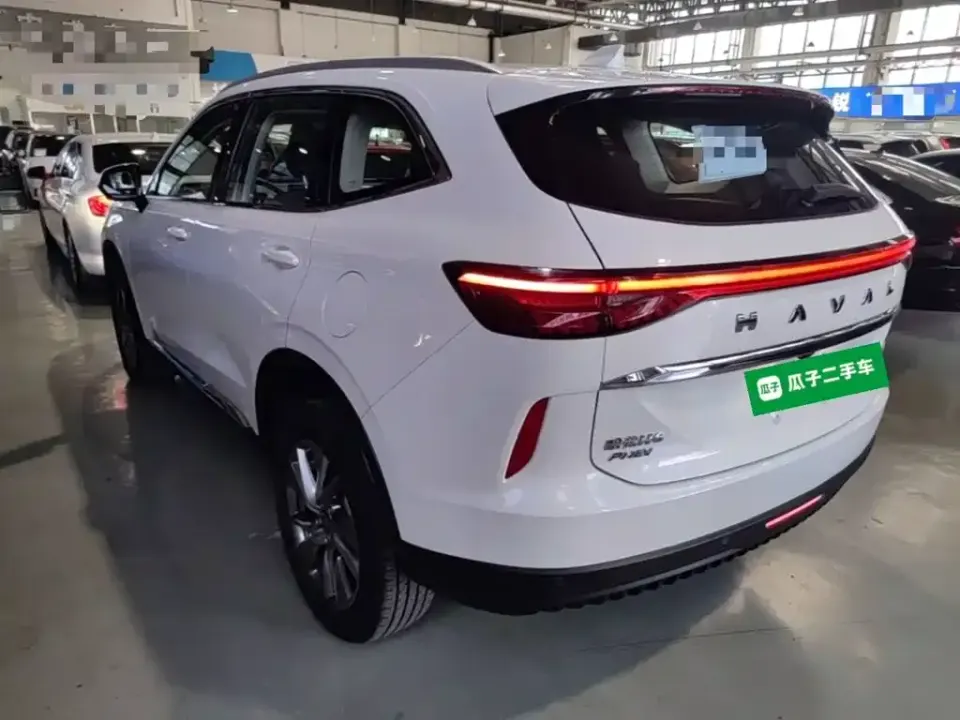 Haval H6 New Energy
