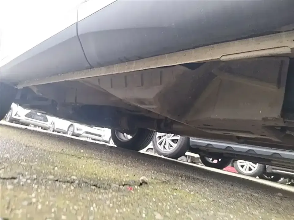 WEY Wey VV6
