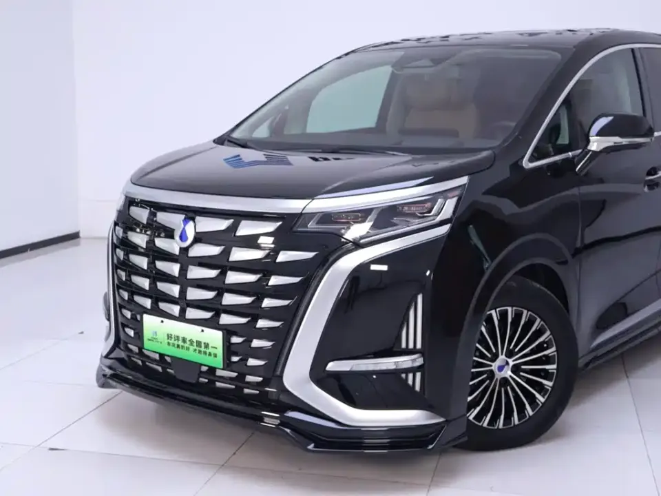 Denza Denza D9