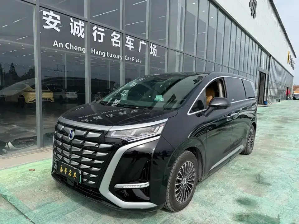 Denza Denza D9