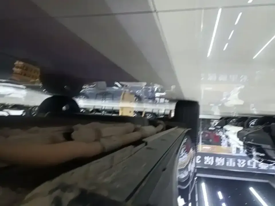 Li Li L7