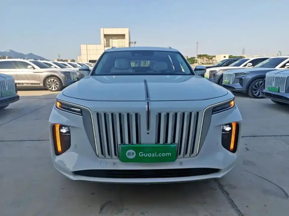 Hongqi Hongqi E-HS9