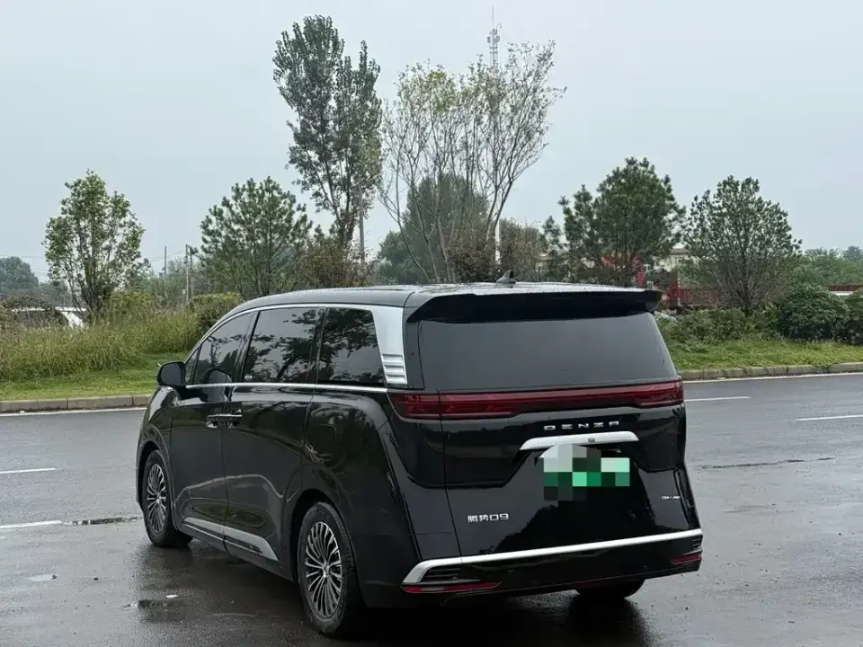 Denza Denza D9