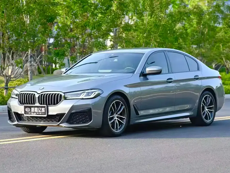 BMW 5 Series (Import)