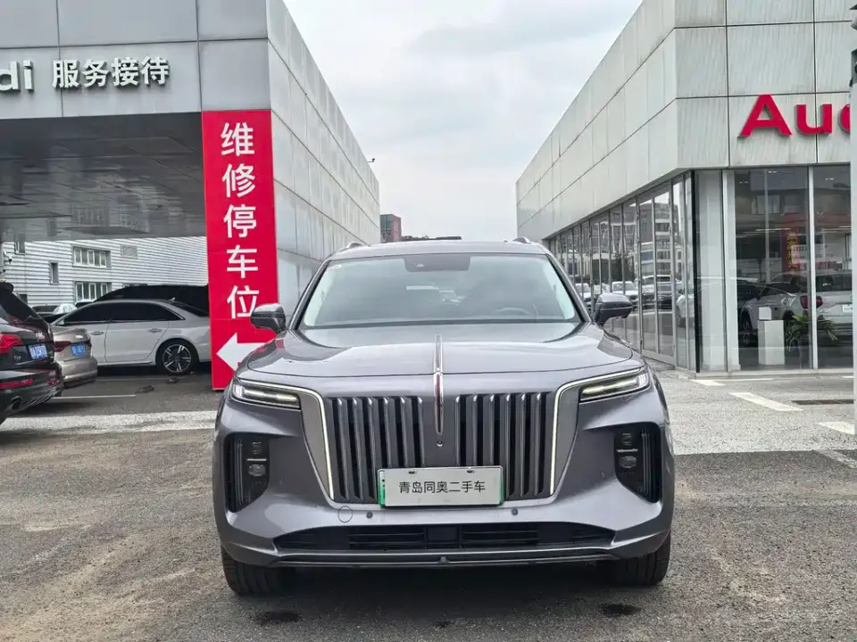 Hongqi Hongqi E-HS9