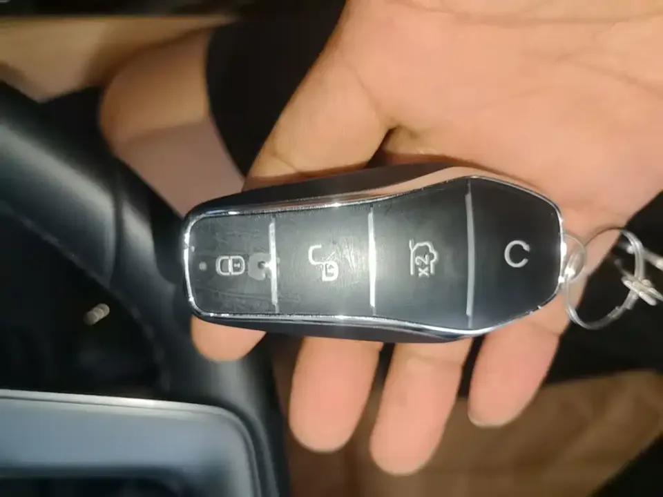 BYD L DM-i