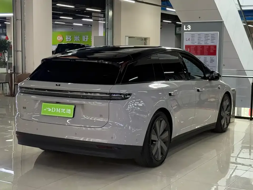 Li Li i6