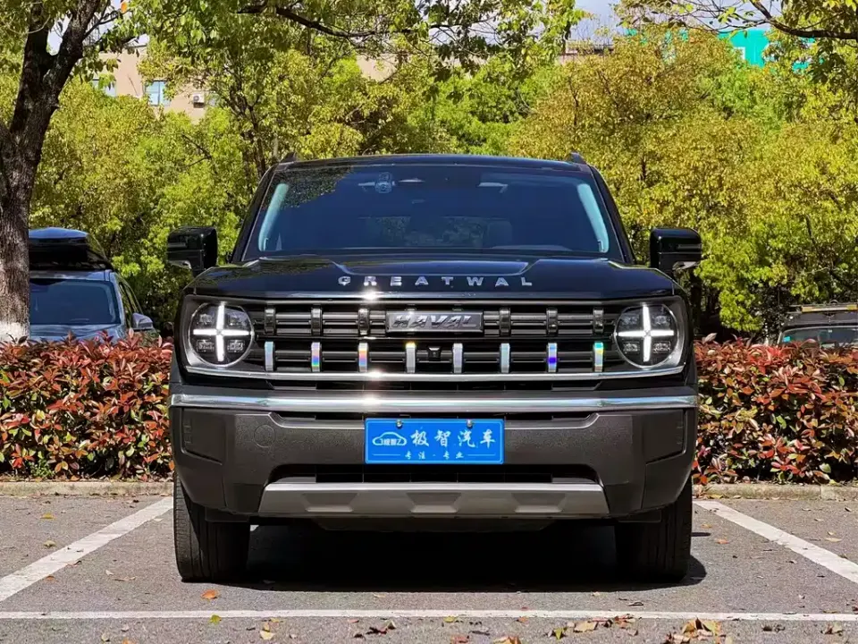 Haval Cool Dog