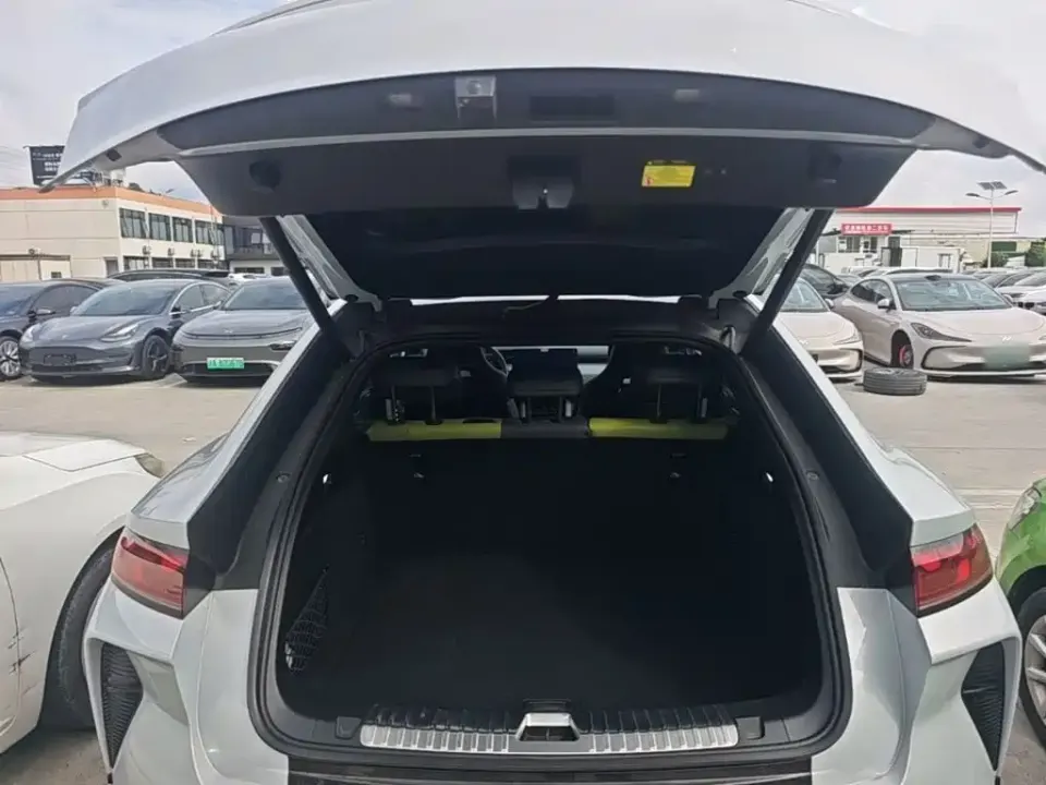BYD L EV