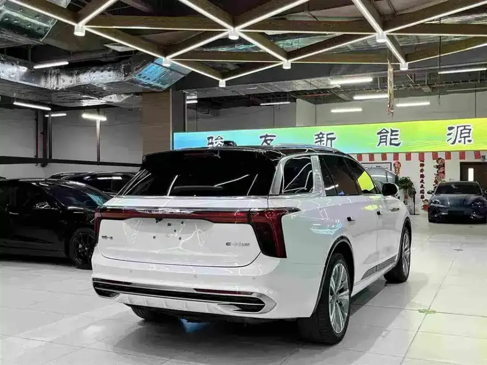 Hongqi Hongqi E-HS9