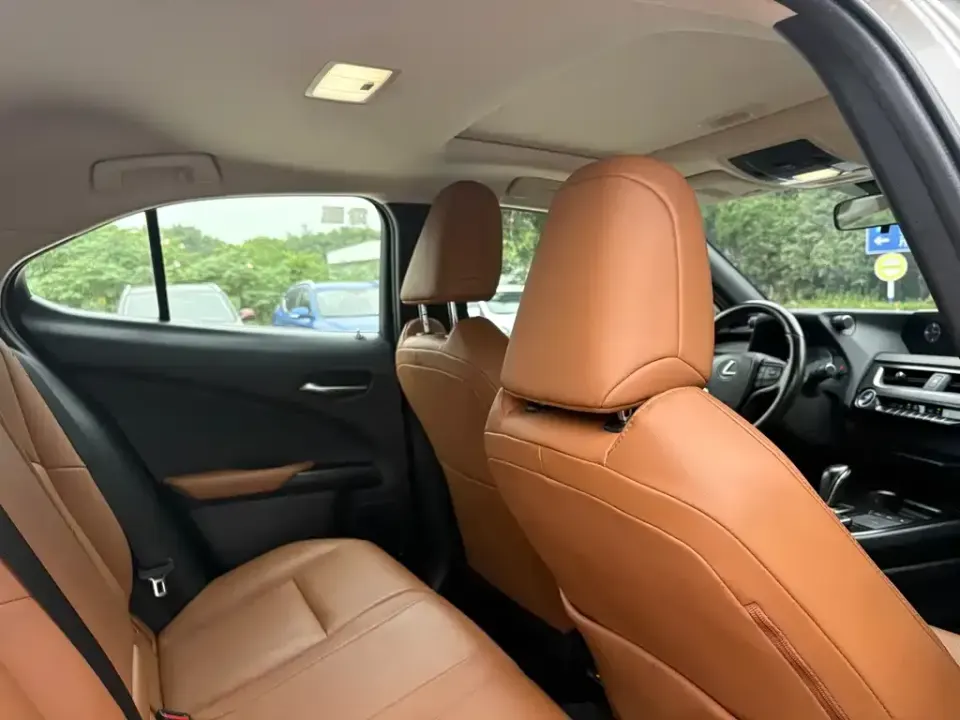 Lexus UX New Energy