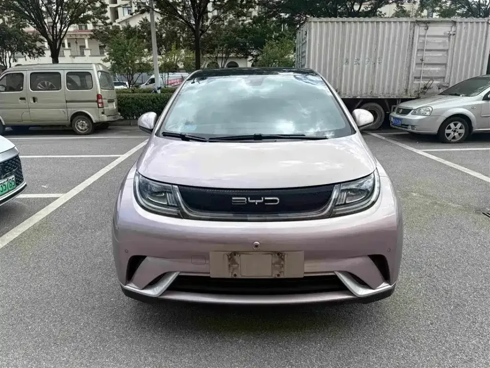 BYD Dolphin