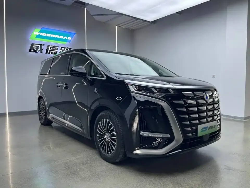 Denza Denza D9