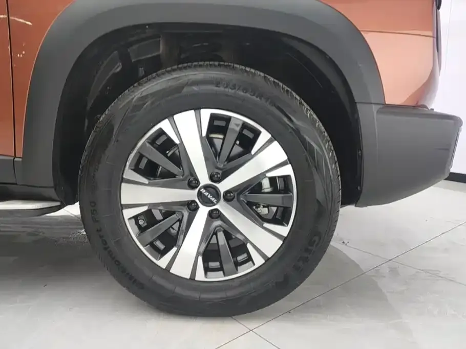 Haval Big Dog
