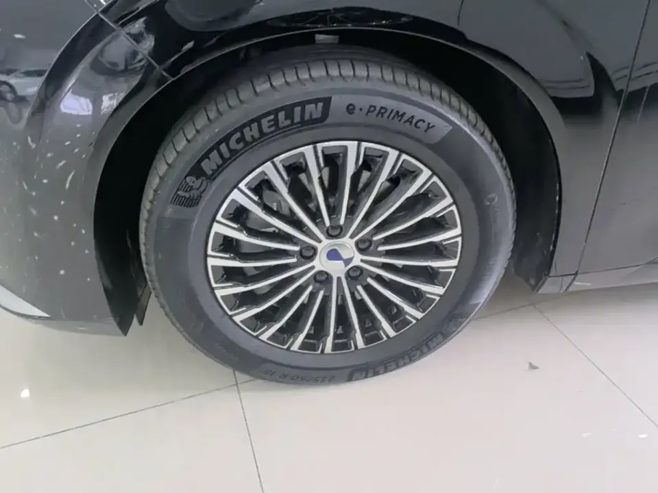 Denza Denza D9
