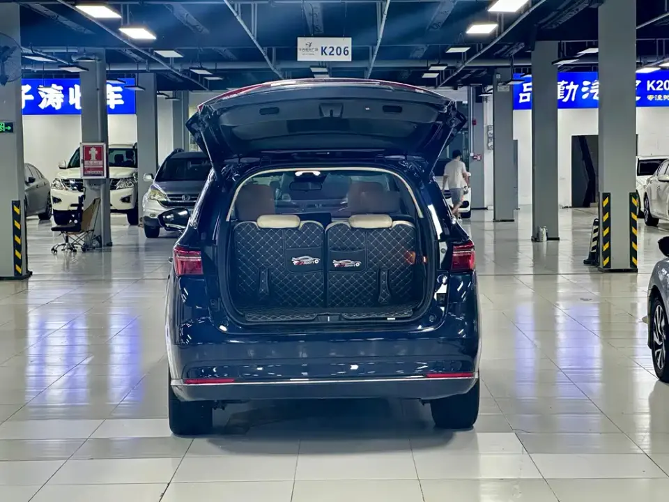 BYD MAX New Energy