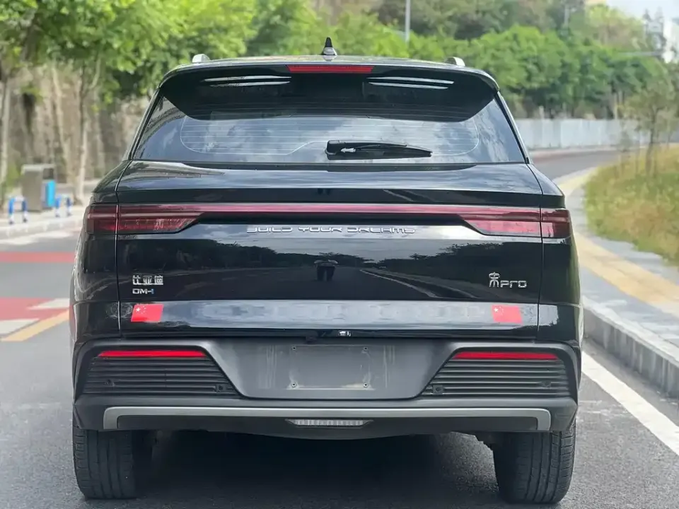 BYD Pro New Energy