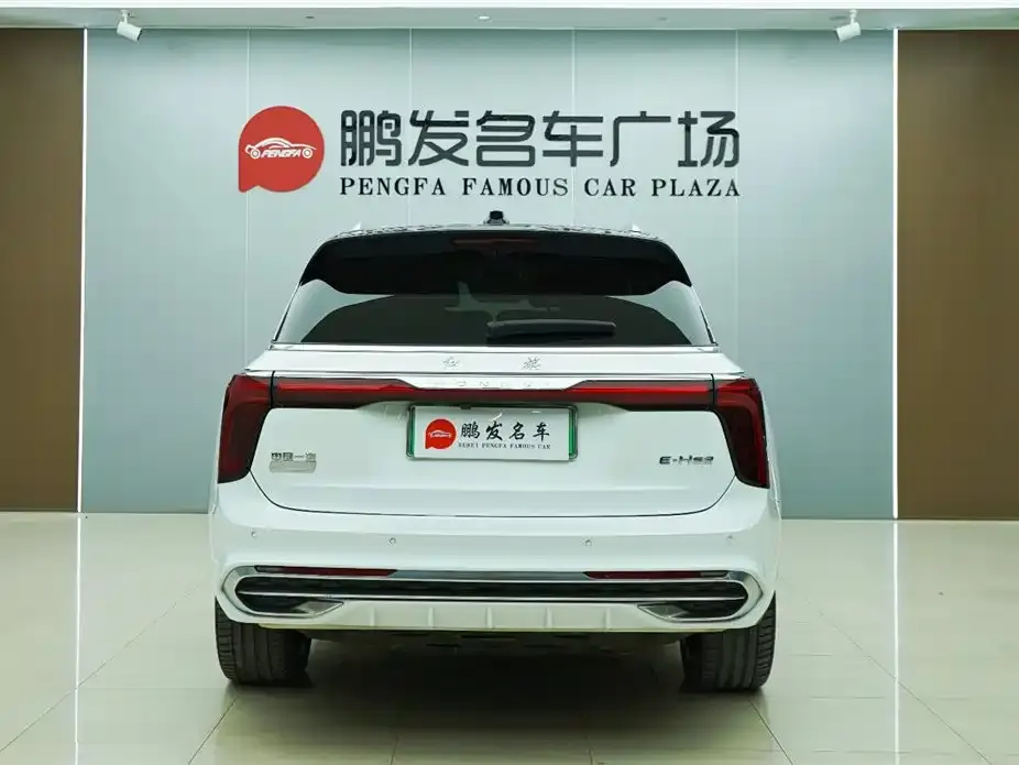 Hongqi Hongqi E-HS9