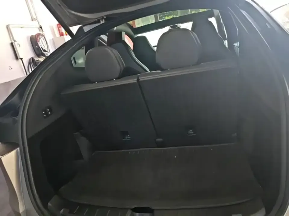 Tesla Model Y L