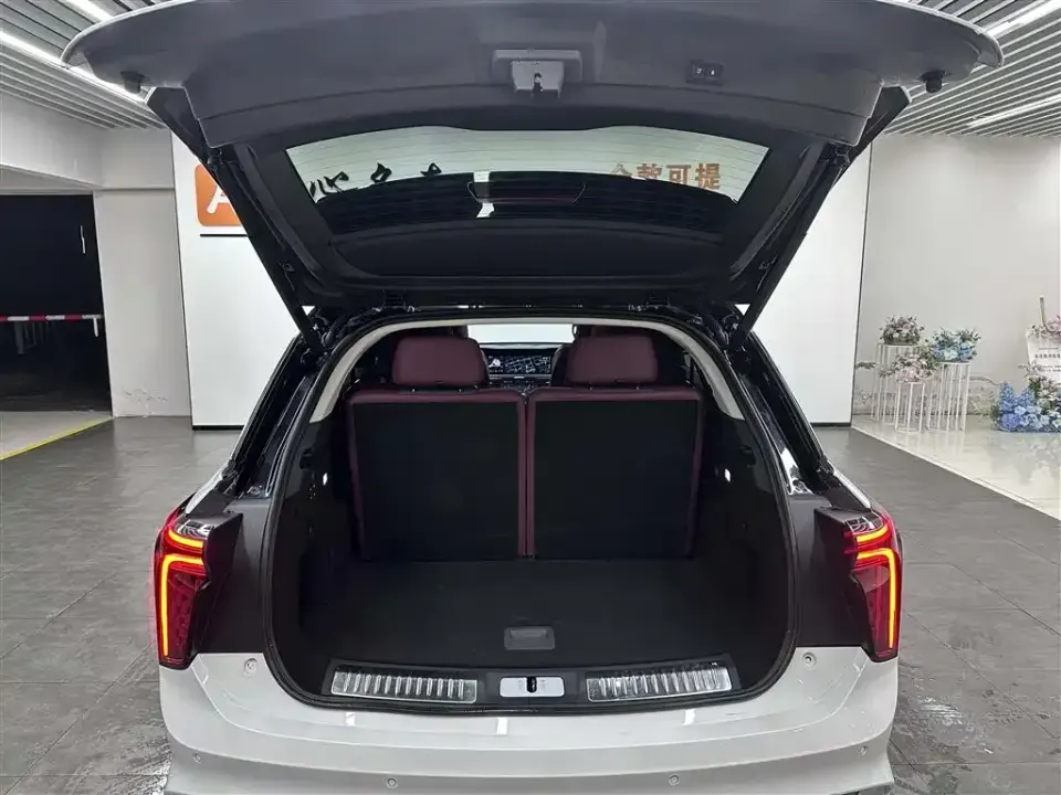 Hongqi Hongqi E-HS9