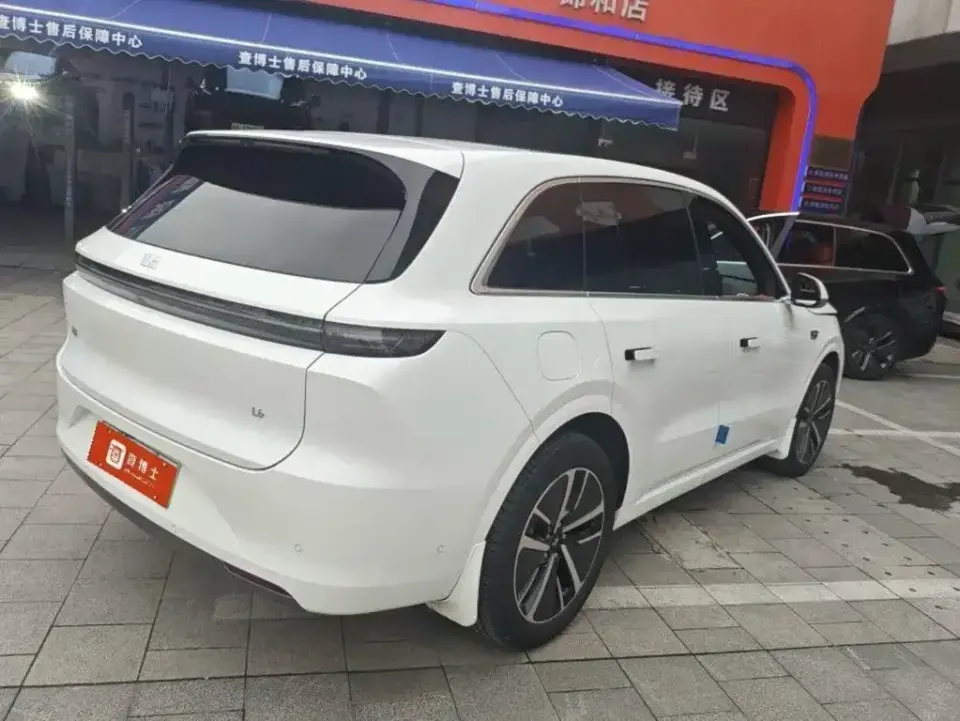 Li Li L6