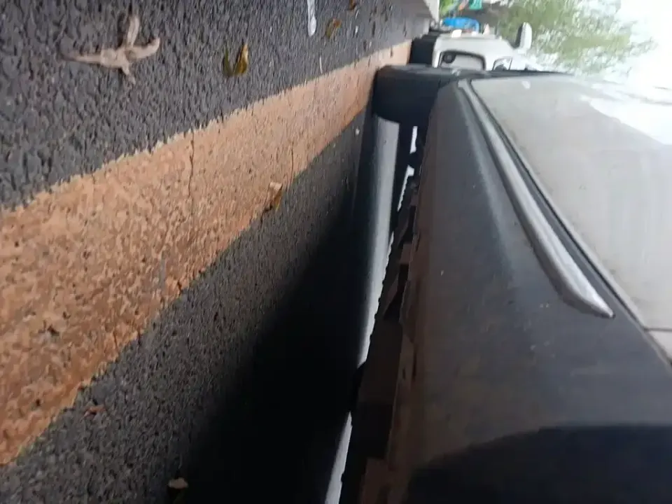 Neta Neta V