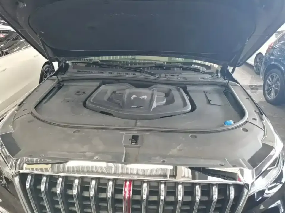 Hongqi Hongqi HS7