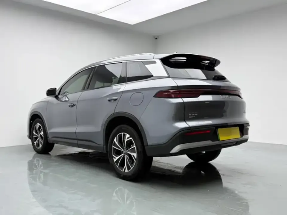 BYD Pro New Energy