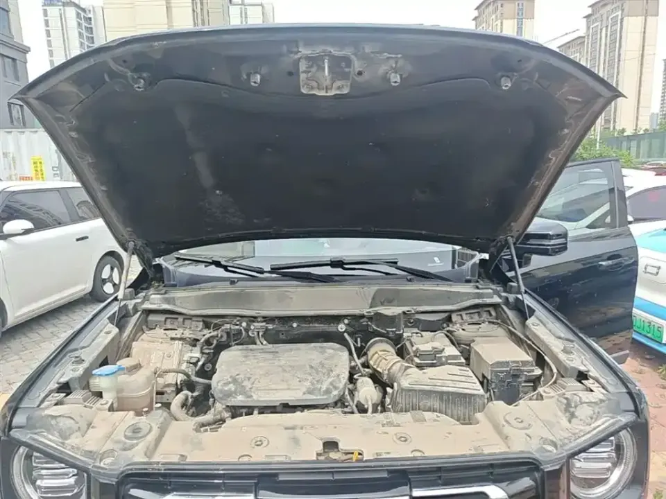 Haval Big Dog