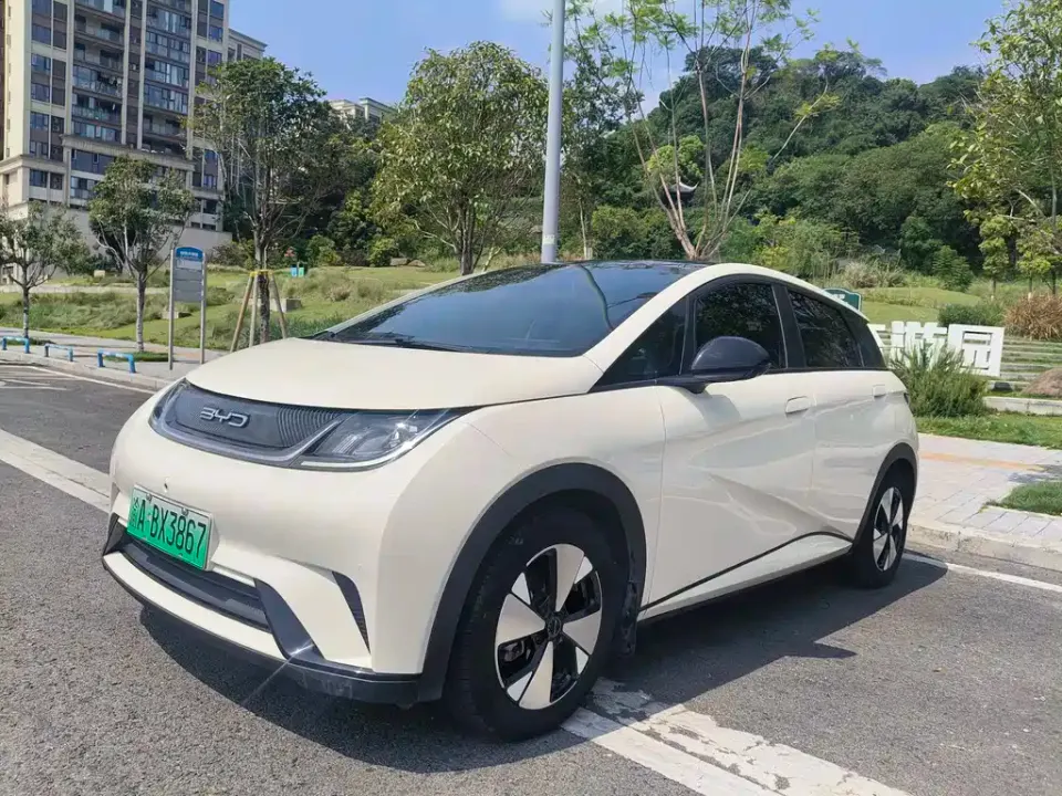 BYD Dolphin