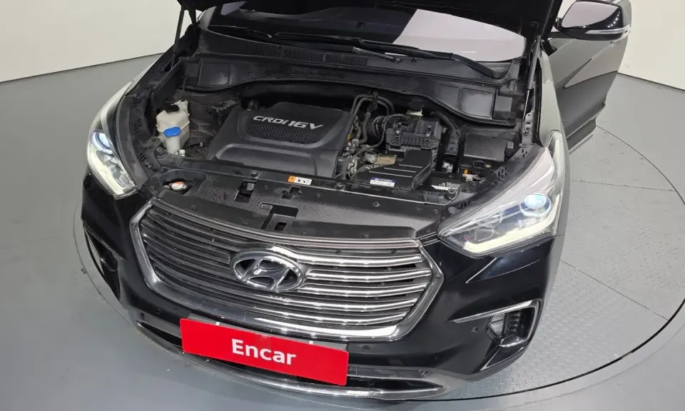 Hyundai Maxcruz