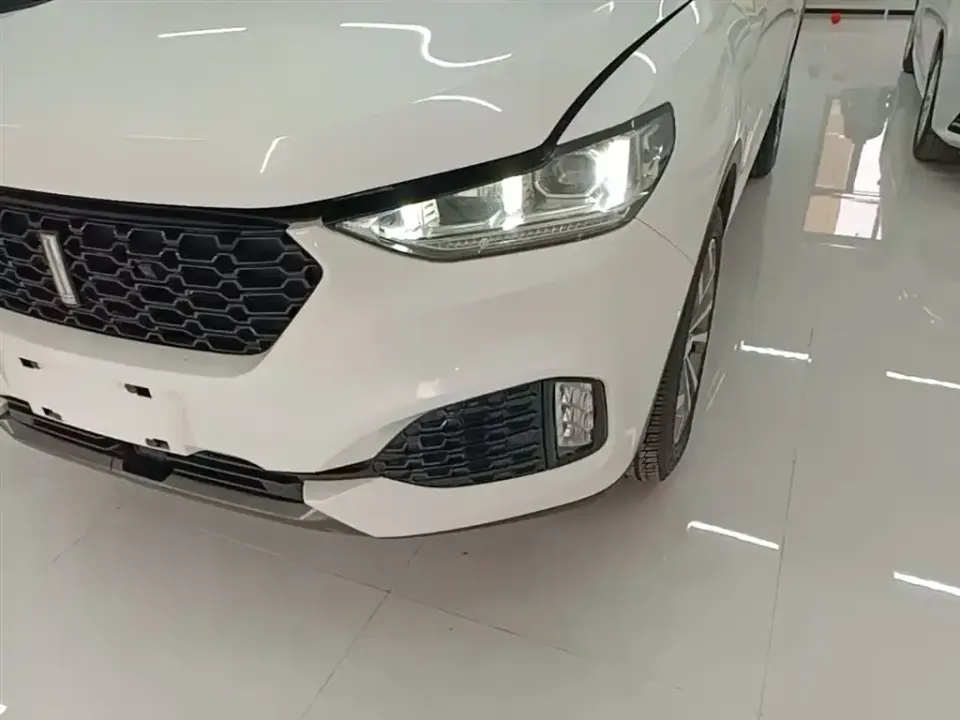WEY Wey VV6