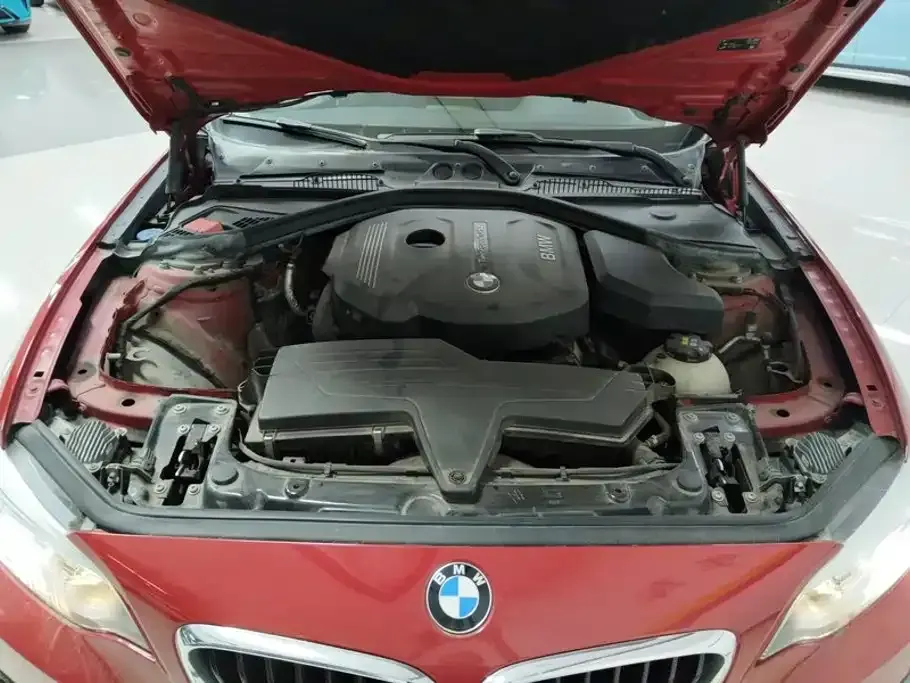 BMW 2 Series (Import)