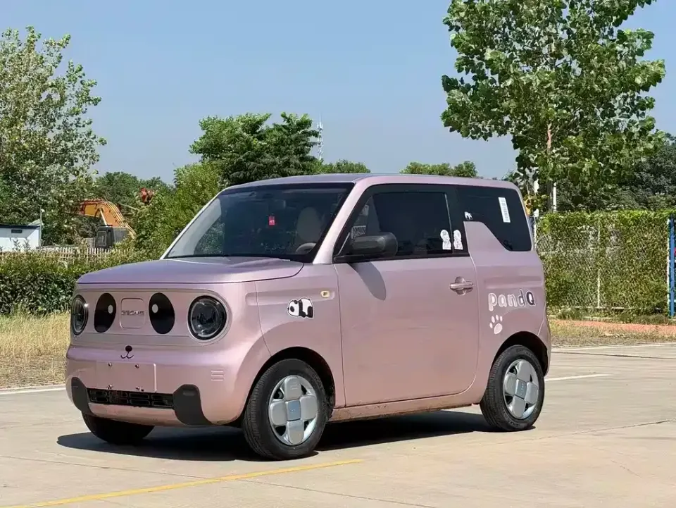 Galaxy Panda