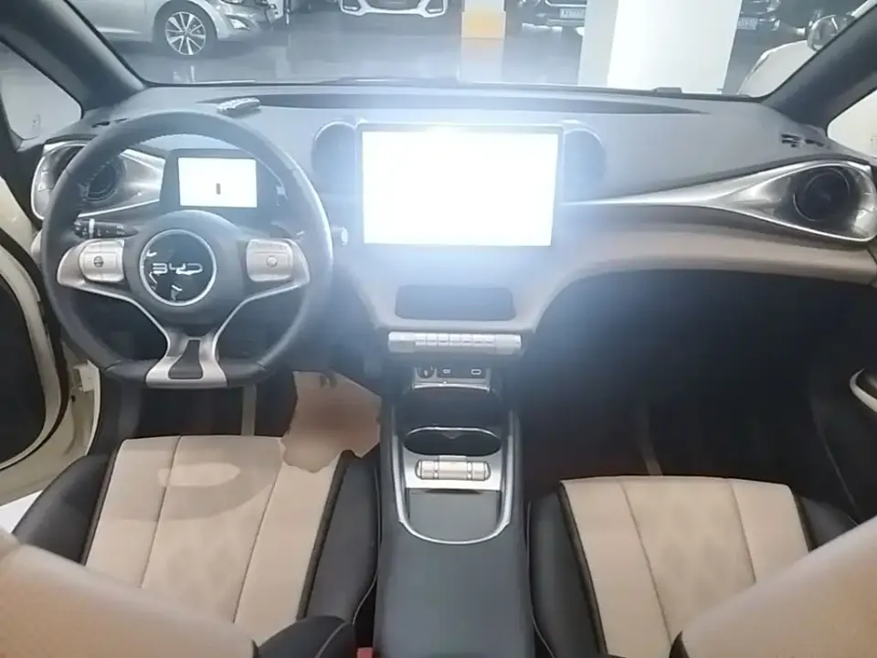 BYD Dolphin