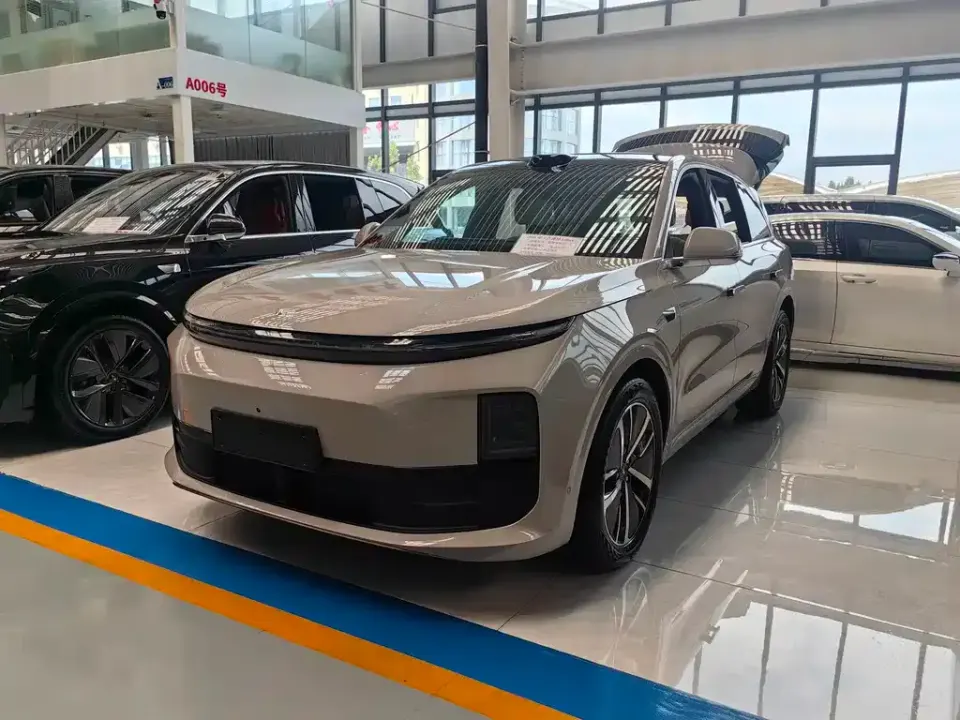 Li Li L6