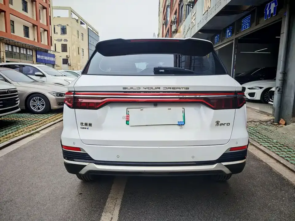 BYD Pro New Energy