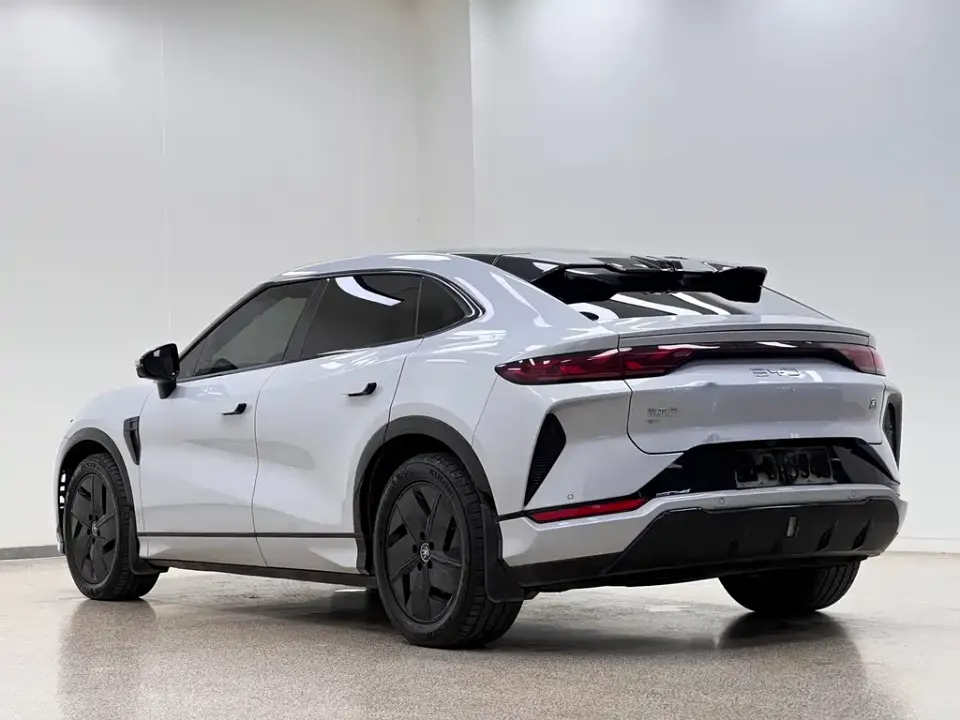 BYD L EV