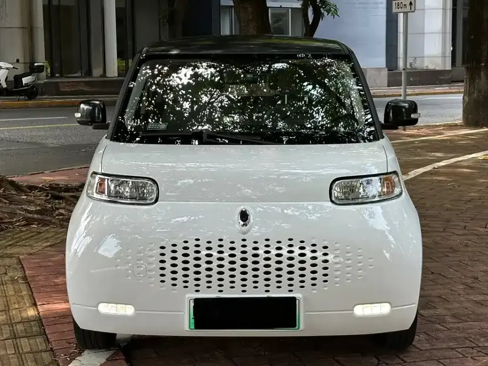 ORA Ora White Cat