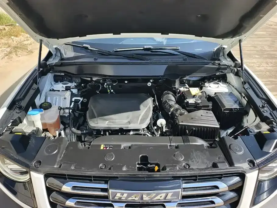Haval Big Dog