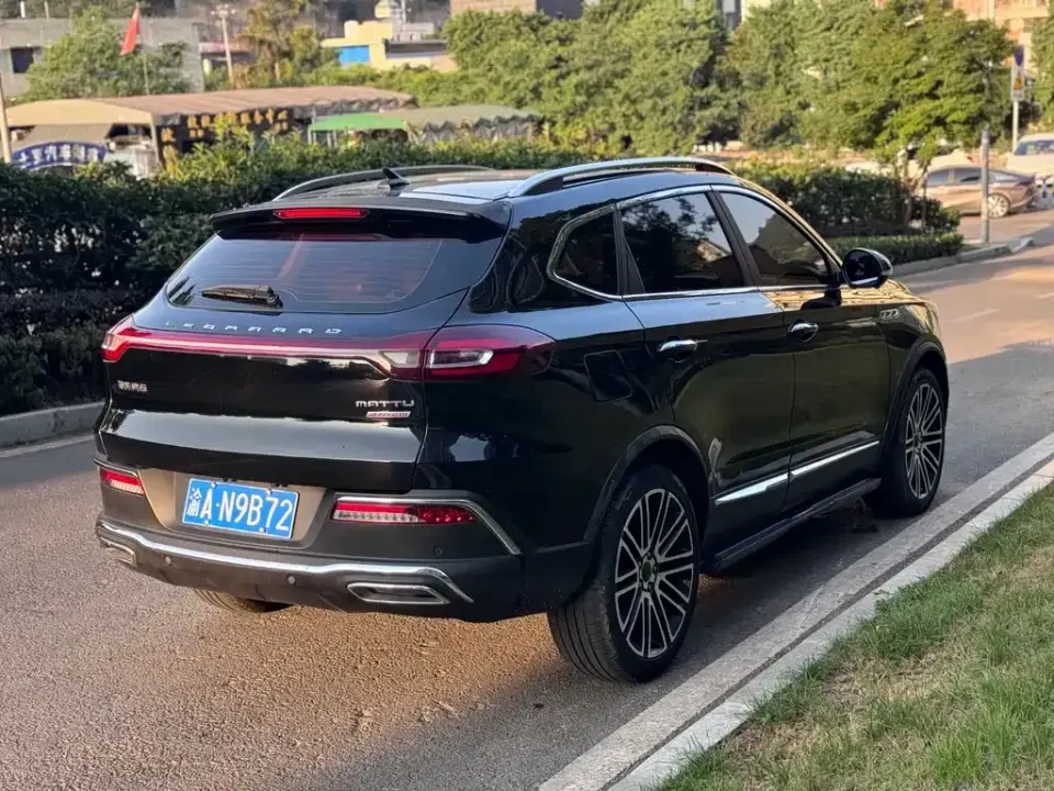 Leopaard Mattu