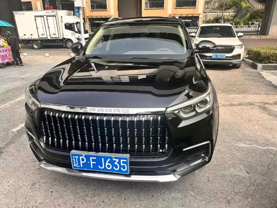 Leopaard Mattu