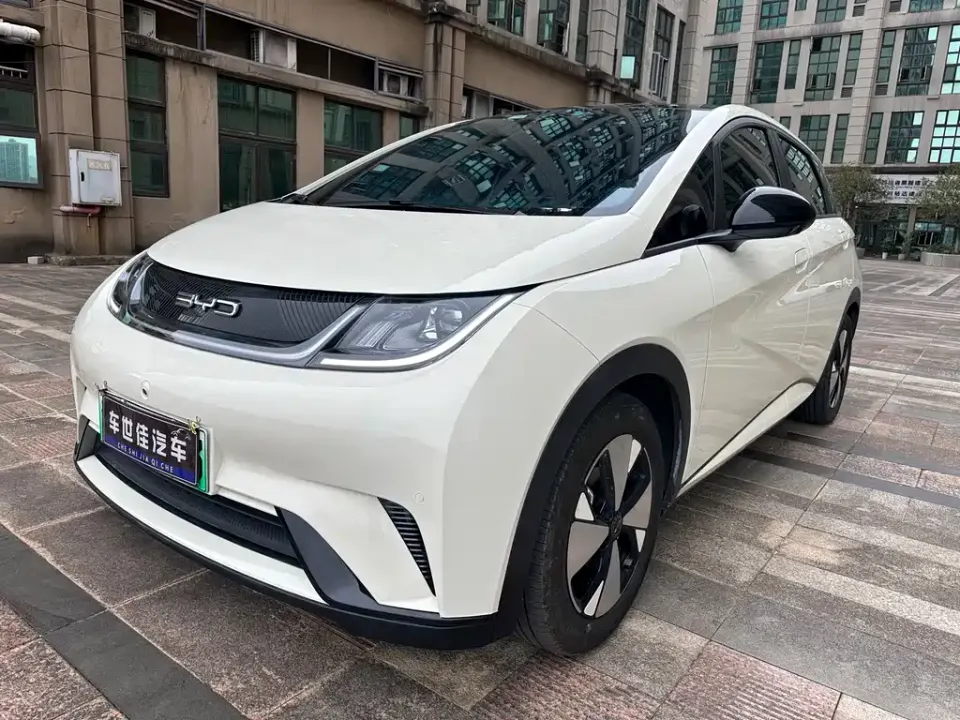 BYD Dolphin